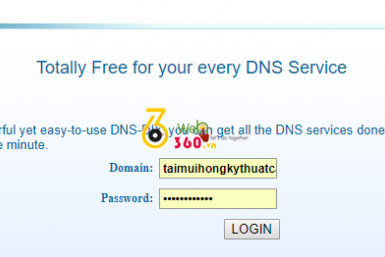 Trỏ domain từ dns-diy.net về VPS